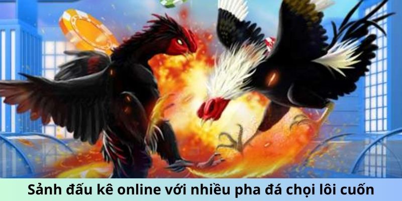 Sảnh đấu kê online với nhiều pha đá chọi lôi cuốn