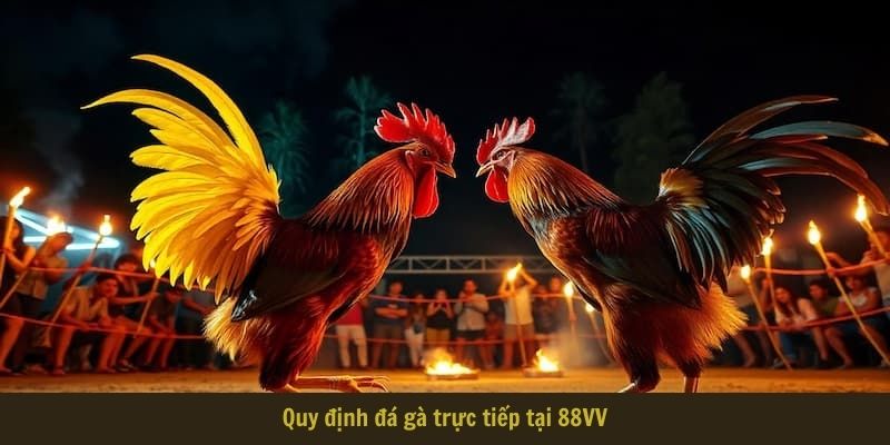 Quy định đá gà trực tiếp tại 88VV